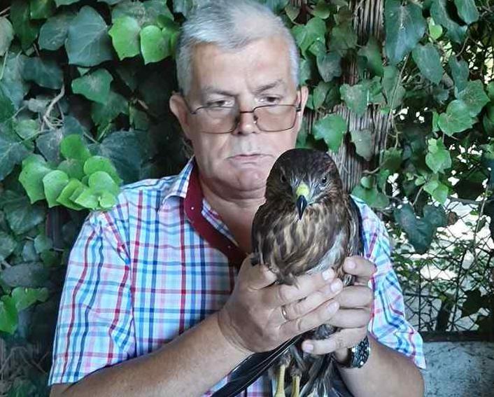 Стаття В одесский зоопарк принесли хищную птицу, изъятую у мучителей на Приморском бульваре Ранкове місто. Одеса