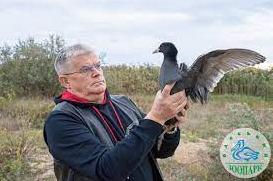 Стаття Реабілітація для крилатих: як Одеський зоопарк допомагає птахам (фото) Ранкове місто. Одеса