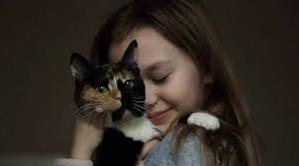Стаття В Одесі маленька дівчинка викликала поліцію, щоб врятувати свою кішку-втікачку – історія порятунку Ранкове місто. Одеса
